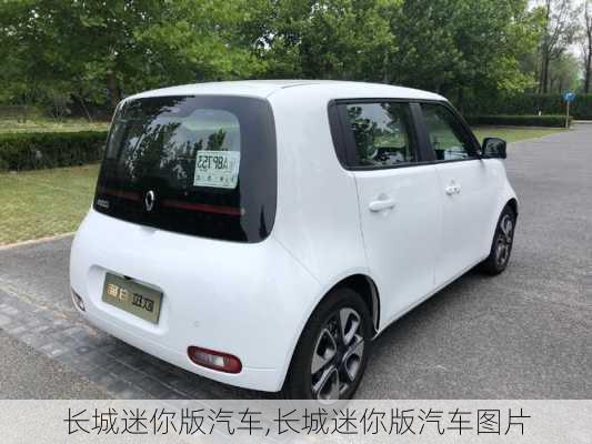 长城迷你版汽车,长城迷你版汽车图片