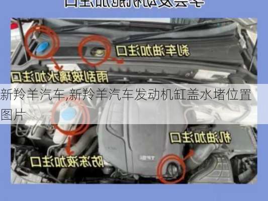 新羚羊汽车,新羚羊汽车发动机缸盖水堵位置 图片