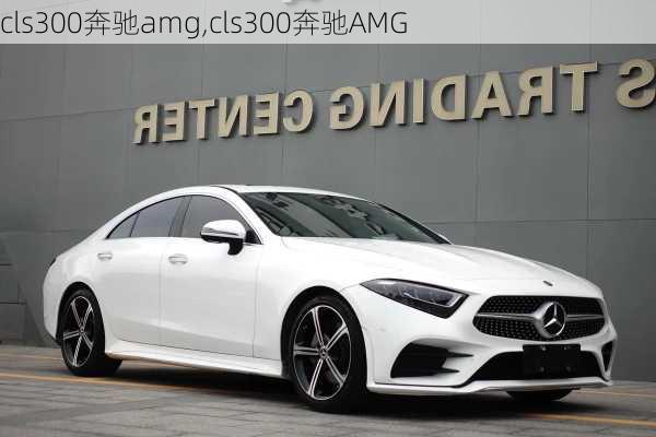 cls300奔驰amg,cls300奔驰AMG