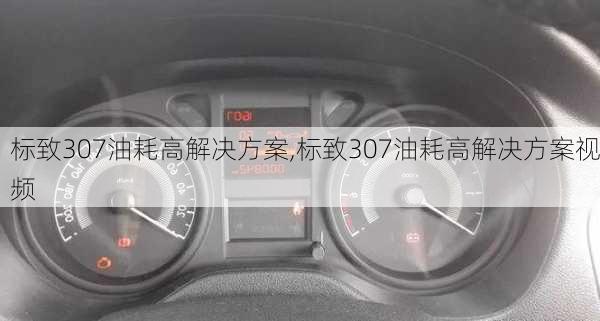 标致307油耗高解决方案,标致307油耗高解决方案视频