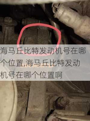 海马丘比特发动机号在哪个位置,海马丘比特发动机号在哪个位置啊