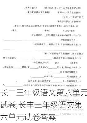 长丰三年级语文第六单元试卷,长丰三年级语文第六单元试卷答案