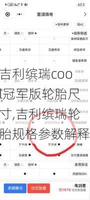 吉利缤瑞cool冠军版轮胎尺寸,吉利缤瑞轮胎规格参数解释