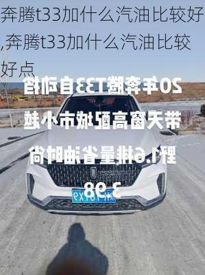 奔腾t33加什么汽油比较好,奔腾t33加什么汽油比较好点