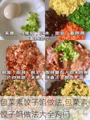 包菜素饺子馅做法,包菜素饺子馅做法大全窍门