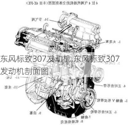 东风标致307发动机,东风标致307发动机剖面图