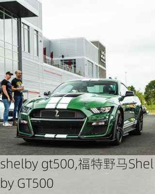 shelby gt500,福特野马Shelby GT500