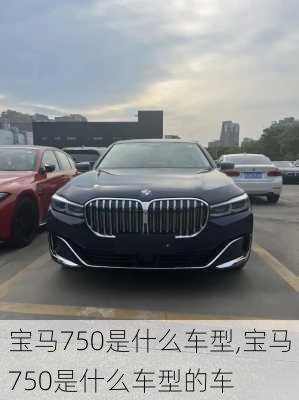 宝马750是什么车型,宝马750是什么车型的车