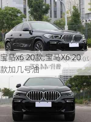 宝马x6 20款,宝马X6 20款加几号油