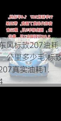 东风标致207油耗一公里多少毛,标致207真实油耗1.4