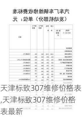 天津标致307维修价格表,天津标致307维修价格表最新