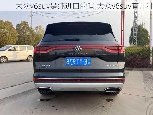 大众v6suv是纯进口的吗,大众v6suv有几种