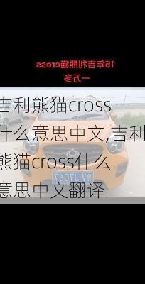 吉利熊猫cross什么意思中文,吉利熊猫cross什么意思中文翻译