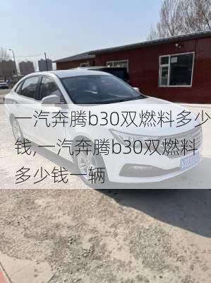 一汽奔腾b30双燃料多少钱,一汽奔腾b30双燃料多少钱一辆