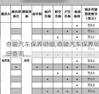 奇骏汽车保养明细,奇骏汽车保养明细查询