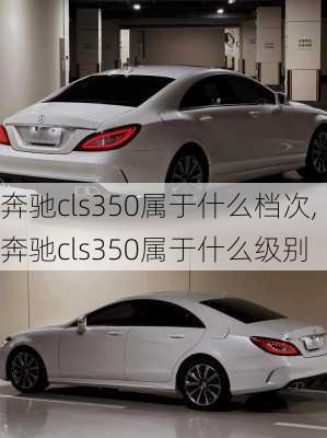 奔驰cls350属于什么档次,奔驰cls350属于什么级别