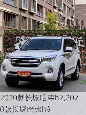 2020款长城哈弗h2,2020款长城哈弗h9