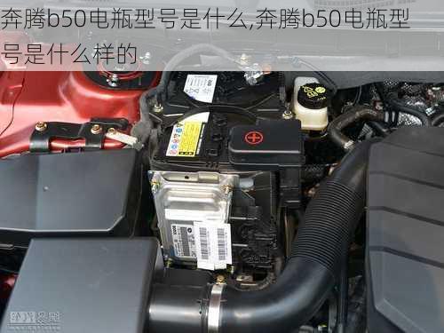 奔腾b50电瓶型号是什么,奔腾b50电瓶型号是什么样的