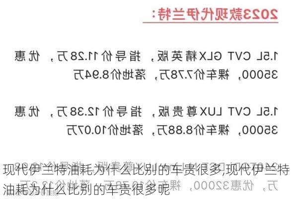 现代伊兰特油耗为什么比别的车贵很多,现代伊兰特油耗为什么比别的车贵很多呢