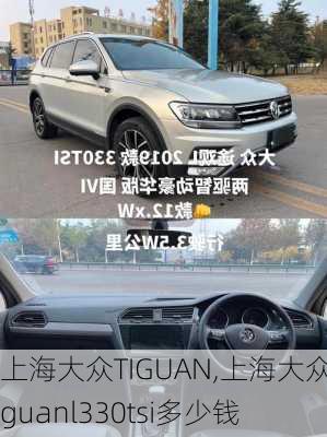 上海大众TIGUAN,上海大众tiguanl330tsi多少钱