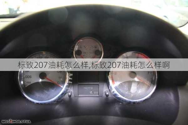 标致207油耗怎么样,标致207油耗怎么样啊