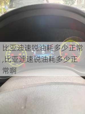 比亚迪速锐油耗多少正常,比亚迪速锐油耗多少正常啊