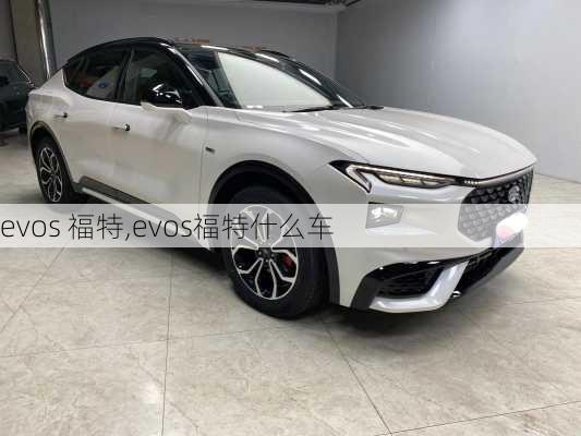 evos 福特,evos福特什么车