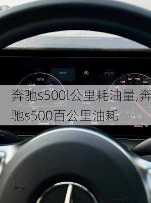 奔驰s500l公里耗油量,奔驰s500百公里油耗