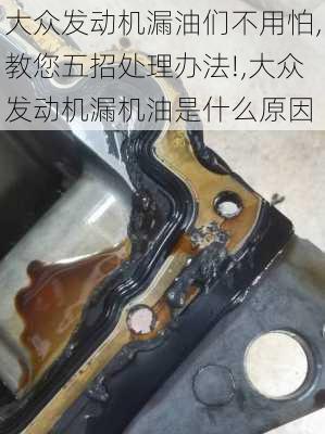 大众发动机漏油们不用怕,教您五招处理办法!,大众发动机漏机油是什么原因