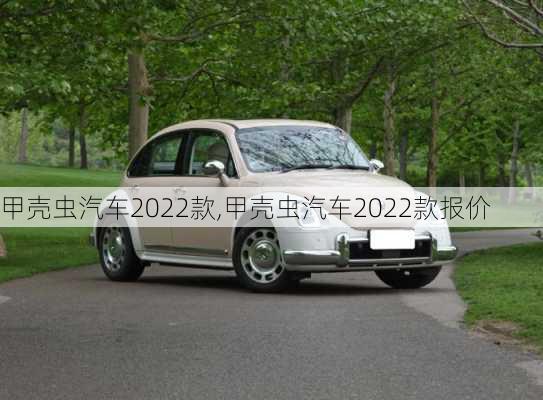 甲壳虫汽车2022款,甲壳虫汽车2022款报价