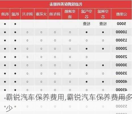 霸锐汽车保养费用,霸锐汽车保养费用多少