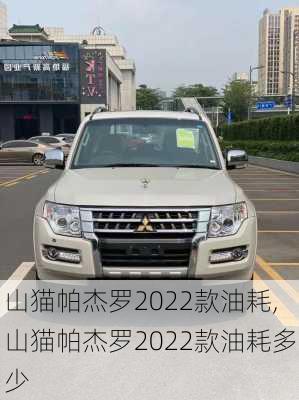 山猫帕杰罗2022款油耗,山猫帕杰罗2022款油耗多少