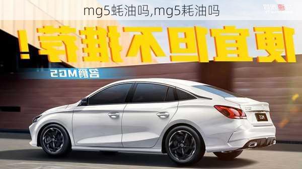 mg5蚝油吗,mg5耗油吗