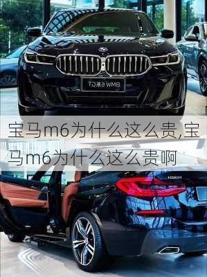 宝马m6为什么这么贵,宝马m6为什么这么贵啊