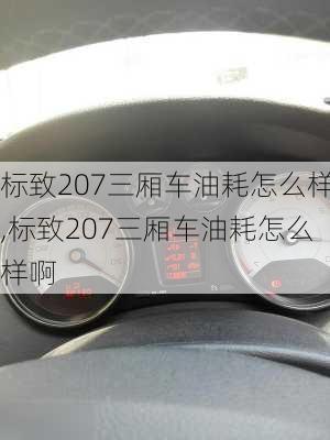 标致207三厢车油耗怎么样,标致207三厢车油耗怎么样啊