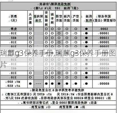 瑞麒g3保养手册,瑞麒g3保养手册图片