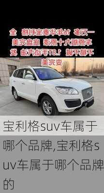 宝利格suv车属于哪个品牌,宝利格suv车属于哪个品牌的