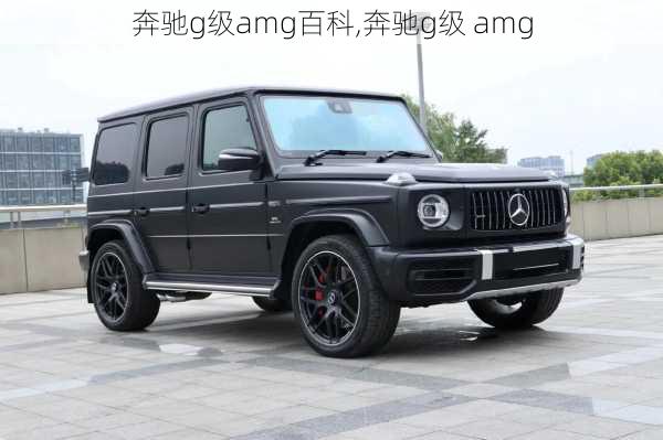 奔驰g级amg百科,奔驰g级 amg