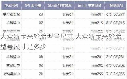 大众新宝来轮胎型号尺寸,大众新宝来轮胎型号尺寸是多少