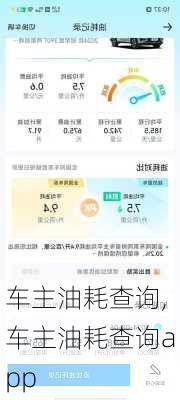 车主油耗查询,车主油耗查询app