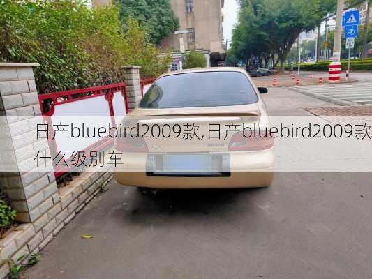 日产bluebird2009款,日产bluebird2009款什么级别车