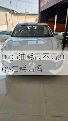 mg5油耗高不高,mg5油耗高吗