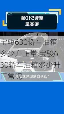 宝骏630轿车油箱多少升正常,宝骏630轿车油箱多少升正常呢