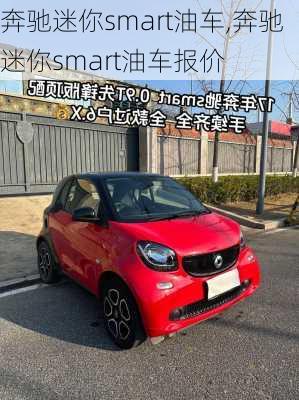 奔驰迷你smart油车,奔驰迷你smart油车报价